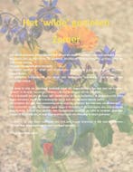 Het ´wilde´ genieten 9789080162327 Anneke Bleeker, Verzenden, Gelezen, Anneke Bleeker