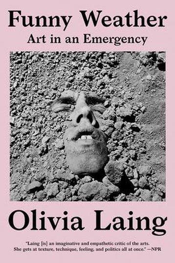 9780393867398 Funny Weather Olivia Laing, Boeken, Verzenden, Nieuw, Olivia Laing