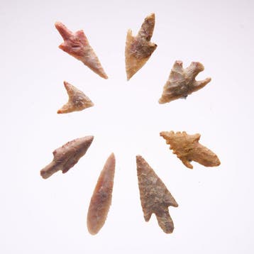 Neolithic tenere flint Pijlpunt (Zonder minimumprijs)