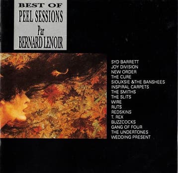 cd - Various - Best Of Peel Sessions par Bernard Lenoir, Verzenden, Zo goed als nieuw