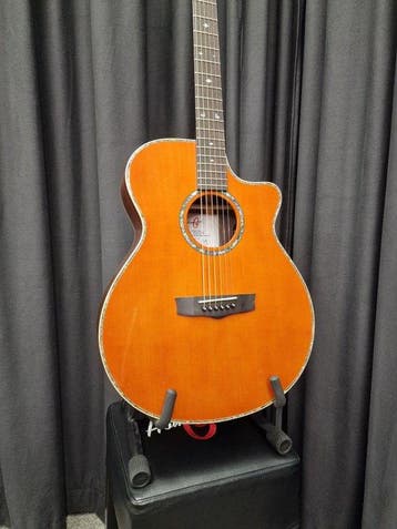 Homestead Guitars - Grand Auditorium with Venetian Cutaway -, Nieuw