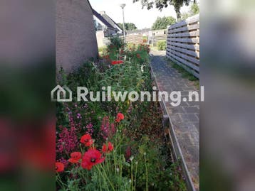 Huis in Nieuwe Pekela, 80 m², 2 kamers, Huizen en Kamers