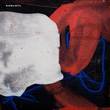 cd - lotto - AXOLOTL (nieuw), Verzenden, Zo goed als nieuw