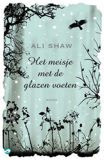 Het meisje met de glazen voeten 9789022959794 Ali Shaw, Verzenden, Gelezen, Ali Shaw