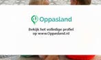Malissa zoekt een oppas in Zeewolde voor 3 kinderen voor...
