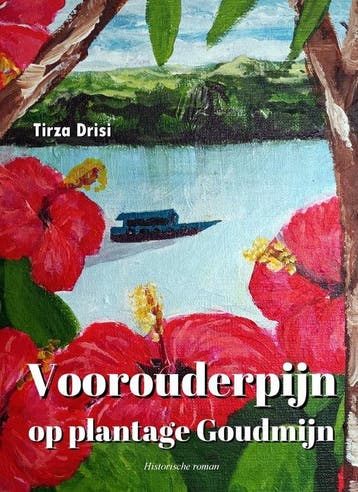 9789083369198 Voorouderpijn op plantage Goudmijn, Boeken, Verzenden, Nieuw, Tirza Drisi