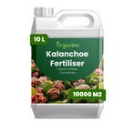 Kalanchoe vloeibare meststof - 10 liter, Verzenden, Mest