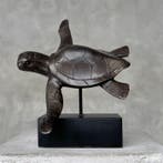 sculptuur, NO RESERVE PRICE - Turtle on a Stand Bronze
