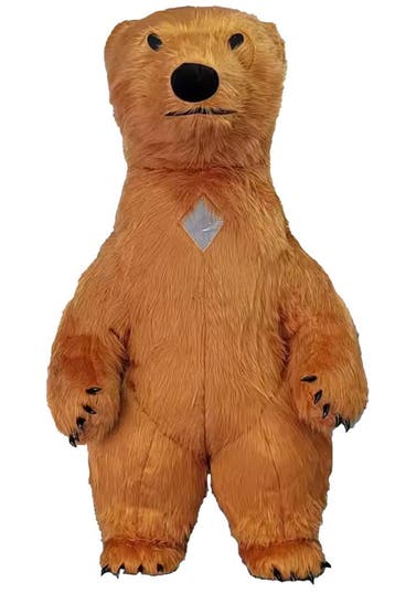 KIMU® Mega Opblaasbare Mascotte Beer Bruin 3 Meter Beren Kos, Ophalen of Verzenden, Nieuw, Carnaval, Kleding