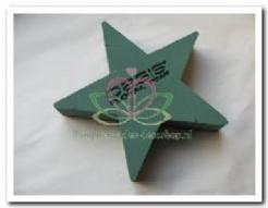 OASIS® Bioline Ster 25 × 25 × 4,5 cm oase voor verse bloemen, Ophalen of Verzenden, Nieuw