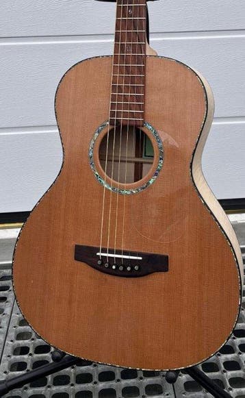 Janus de Hon - 00 - - Akoestische gitaar - Nederland - 2026, Nieuw