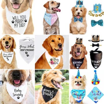 Honden bandana My Humans are getting Married, Ophalen of Verzenden, Nieuw