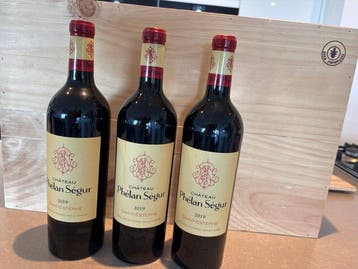2019 Chateau Phelan Segur - Saint-Estèphe Cru Bourgeois - 3, Nieuw