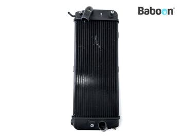 Radiateur Links Ducati Multistrada V4 RS 2024, Verzenden, Gebruikt