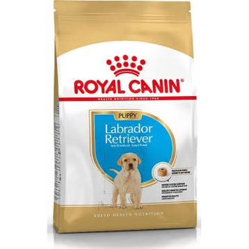 Royal Canin Labrador Retriever 33 Junior 3 kg (Hondenvoer), Verzenden, Hond