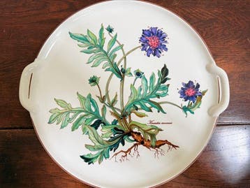 Villeroy & Boch - Schaal - botanie - Porselein -