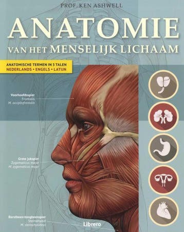 Anatomie van het menselijk lichaam (geb) 9789089986184, Verzenden, Zo goed als nieuw, Ken Ashwell