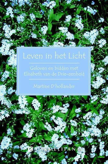 Leven In Het Licht | Martine Hollander | Nieuw, Ophalen of Verzenden, Nieuw, Martine Hollander
