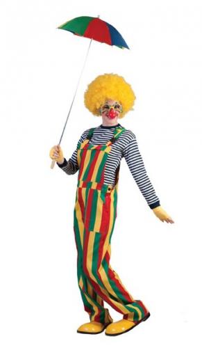 Clown tuinbroek - Limburg kleding, Ophalen of Verzenden, Nieuw