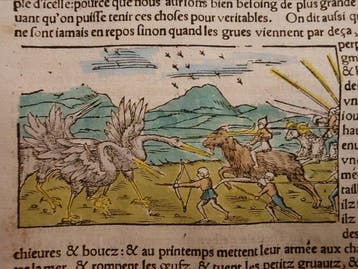Sebastian Münster (1489–1552) - Cosmographie Universelle -