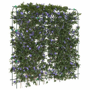 vidaXL Plantenklimrekken 2 st U-frame staal, Verzenden, Nieuw