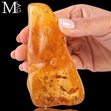 Specimen van kopal - natuurlijk - jonge amber Copal -