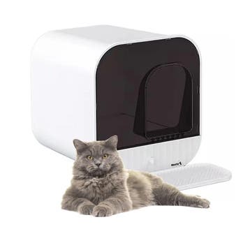 MaxxPet Kattenbak 43x42x40cm - Wit (Katten toebehoren, Dier), Verzenden, Nieuw
