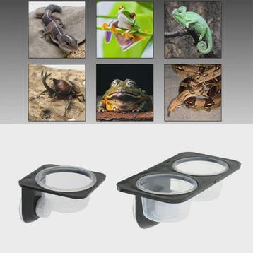 Dubbele Voer- en Waterbak met Zuignap voor Reptielen en Amfi, Dieren en Toebehoren
