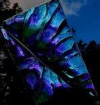 Maria Ruisi - METAMORPHOSE COSMIQUE