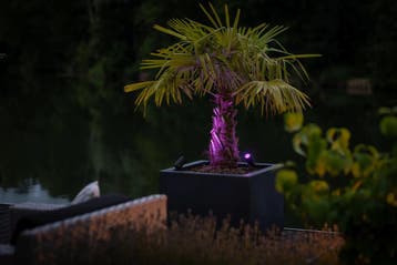Lightpro Castor Smart Zigbee (Dimbaar), Tuin en Terras, Buitenverlichting, Ophalen of Verzenden, Nieuw