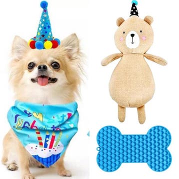 Honden verjaardagspakket 4-delig met bandana, hoedje, likmat, Dieren en Toebehoren, Honden-accessoires, Ophalen of Verzenden, Nieuw
