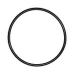 O-Ring voor Deksel Astral Victoria Plus zwembadpomp, Verzenden, Nieuw
