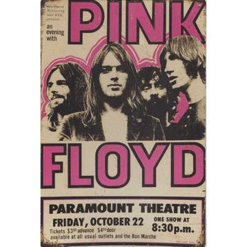 Concert Cord - Pink Floyd Paramount Theatre, Ophalen of Verzenden, Nieuw, Poster, Artwork of Schilderij