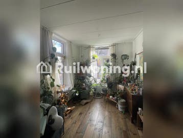 Van zuid naar noord (Maastricht, Limburg), Limburg