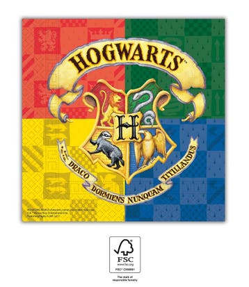 Harry Potter Servetten Hogwarts (20st), Kleding | Dames, Ophalen of Verzenden, Nieuw