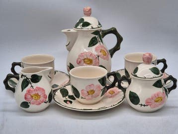 Villeroy & Boch – 9-teiliges Kaffeeservice Wild-Rose –