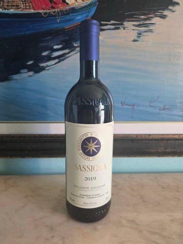 2019 Tenuta San Guido, Sassicaia - Bolgheri - 1 Fles (0,75, Nieuw