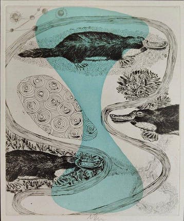Hartmut Neumann (1954) - Platypuses