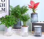 Transparante Zelfbewaterende Hydrocultuur Plantenpot Dubbel, Verzenden, Nieuw