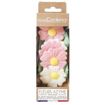 ScrapCooking Ouwel Decoratie Wilde Rozen & Blaadjes 12st., Verzenden, Nieuw