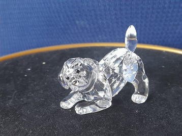 Swarovski - Beeldje - Labrador Puppy - Playing - Kristal