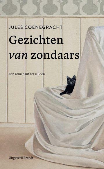 Gezichten van zondaars 9789493319097 Jules Coenegracht, Boeken, Verzenden, Gelezen, Jules Coenegracht