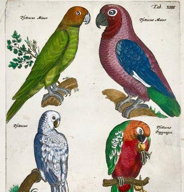 Matthäus Merian (1593-1650) - hand coloured engraving with