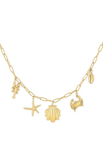 Goudlief Beachy ketting - zilverkleur (Hangerkettingen), Verzenden, Nieuw, Zilver, Overige materialen
