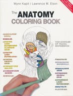 Anatomy Coloring Book - Anatomy Coloring Book, Ophalen of Verzenden, Nieuw