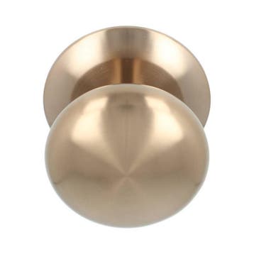 Voordeurknop BASICS LB65V vast op rozet PVD licht brons, Verzenden, Nieuw