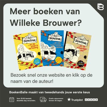 Het verdwenen vikingzwaard / Museum Ravage / 2 9789026627699, Verzenden, Gelezen, Willeke Brouwer