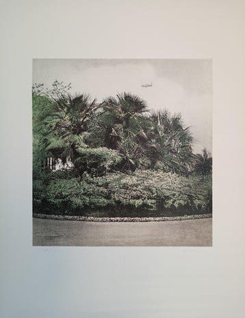Giuseppe Bartolini (1938) - Orto botanico, Antiek en Kunst