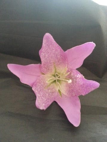 Lila Jo, Lilac Sparkle Lily., Verzenden, Nieuw