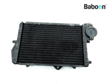 Radiateur BMW K 1100 LT 1993-1999 (K1100LT), Verzenden, Gebruikt